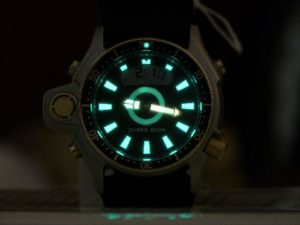 Citizen Aqualand Promaster